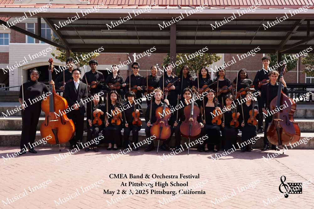 Musical Images